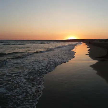 Acacia Santa Maria Del Focallo