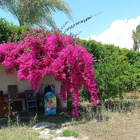 Acacia Santa Maria Del Focallo