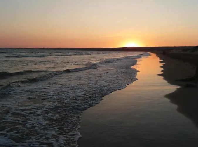 Acacia Santa Maria Del Focallo