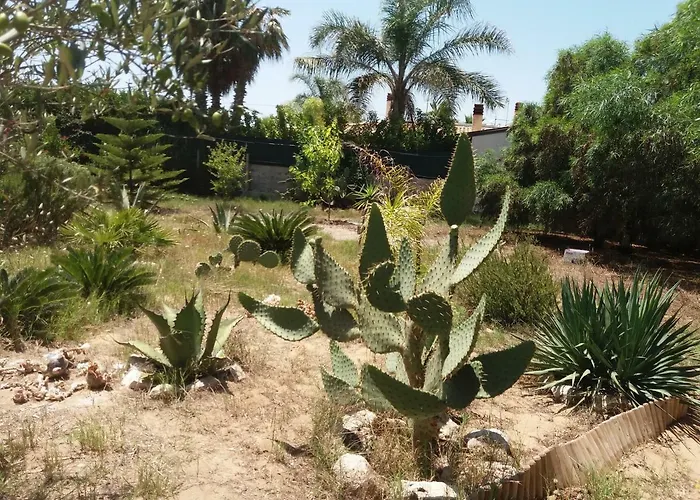 Acacia Semesterbostad Santa Maria Del Focallo